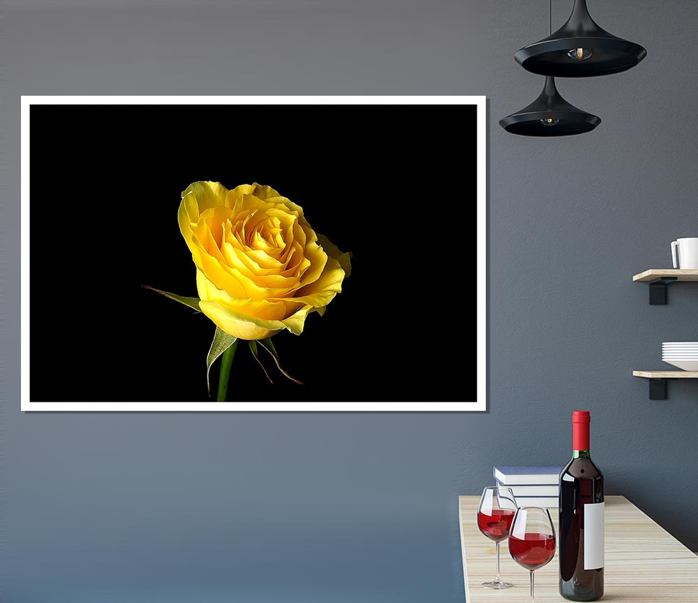 Yellow Rose On Black Background Print Poster Wall Art