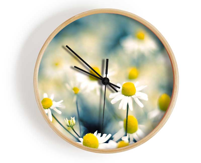 Chamomile Flowers Macro Clock - Wallart-Direct UK