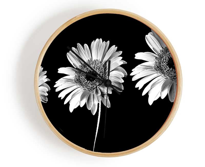 Gerbera Daisies Black And White Clock - Wallart-Direct UK