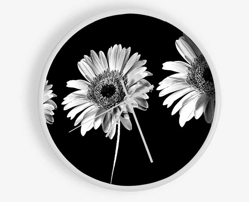 Gerbera Daisies Black And White Clock - Wallart-Direct UK