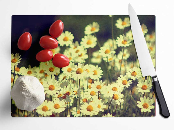 Vintage Daisies Glass Chopping Board