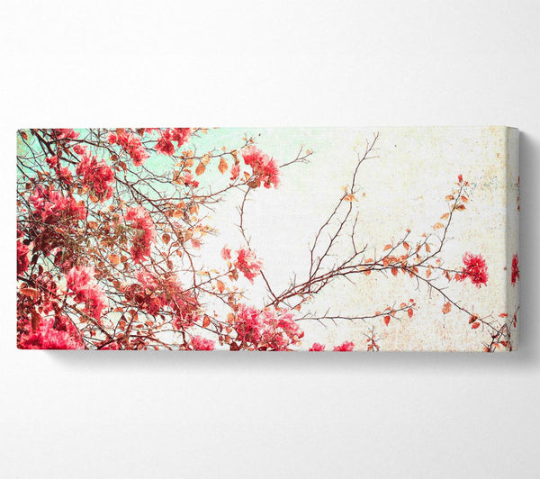 Antique Cherry Blossom