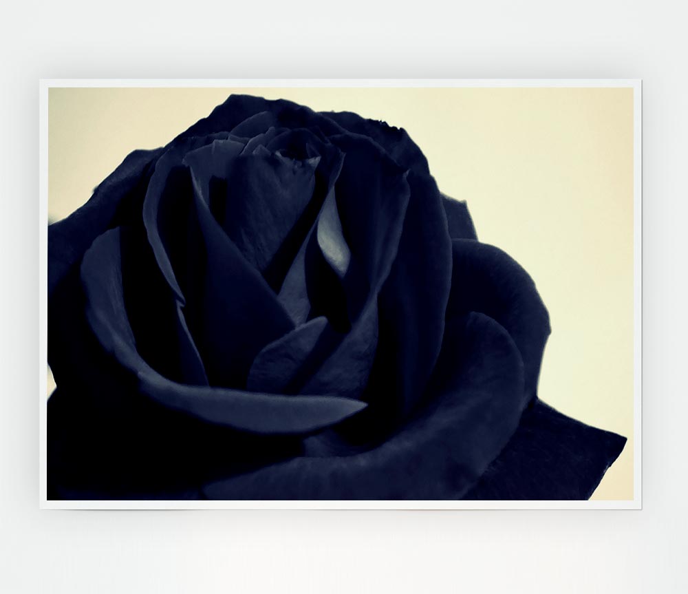 Black Blue Rose Print Poster Wall Art