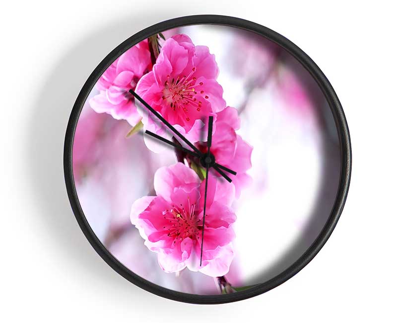 Plum Blossoms Blooming Clock - Wallart-Direct UK