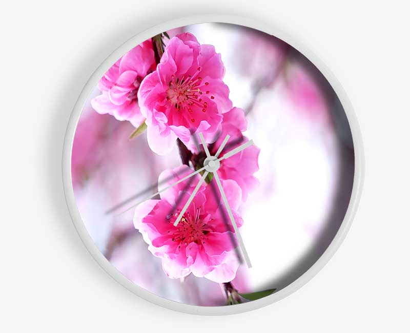 Plum Blossoms Blooming Clock - Wallart-Direct UK