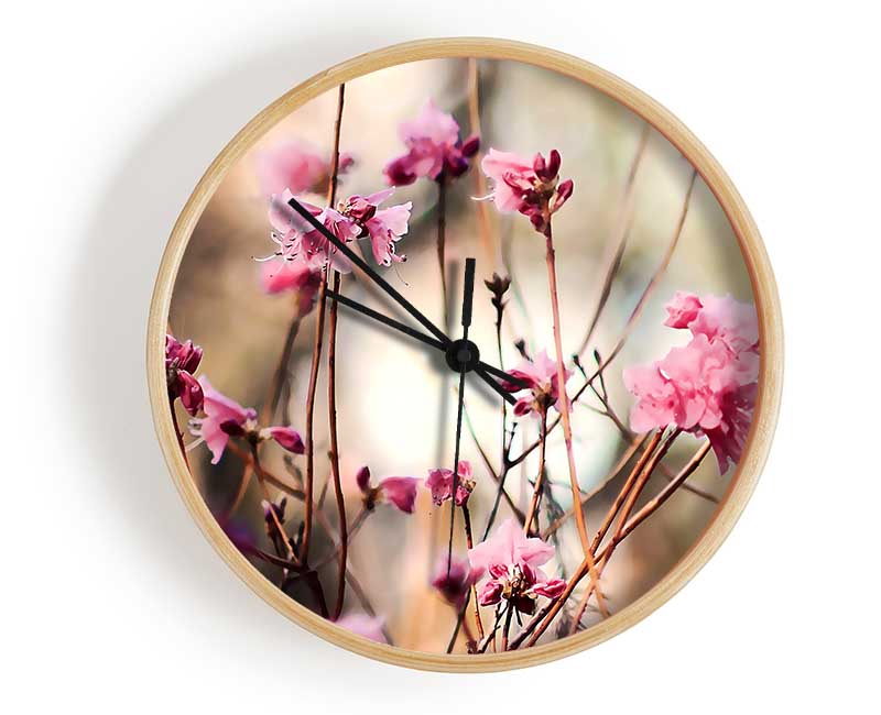 Spring Teasers Clock - Wallart-Direct UK