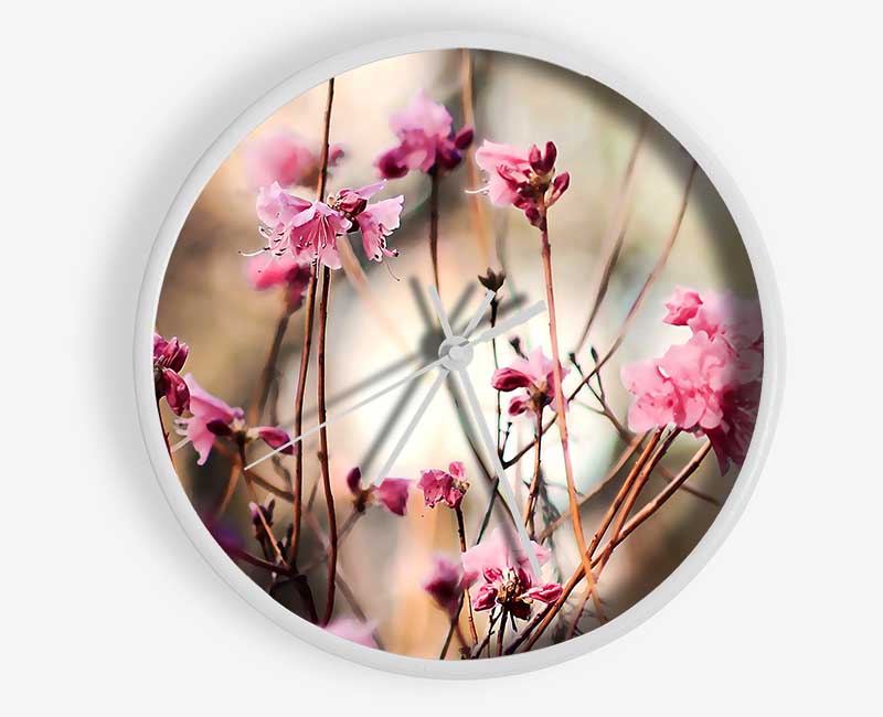 Spring Teasers Clock - Wallart-Direct UK