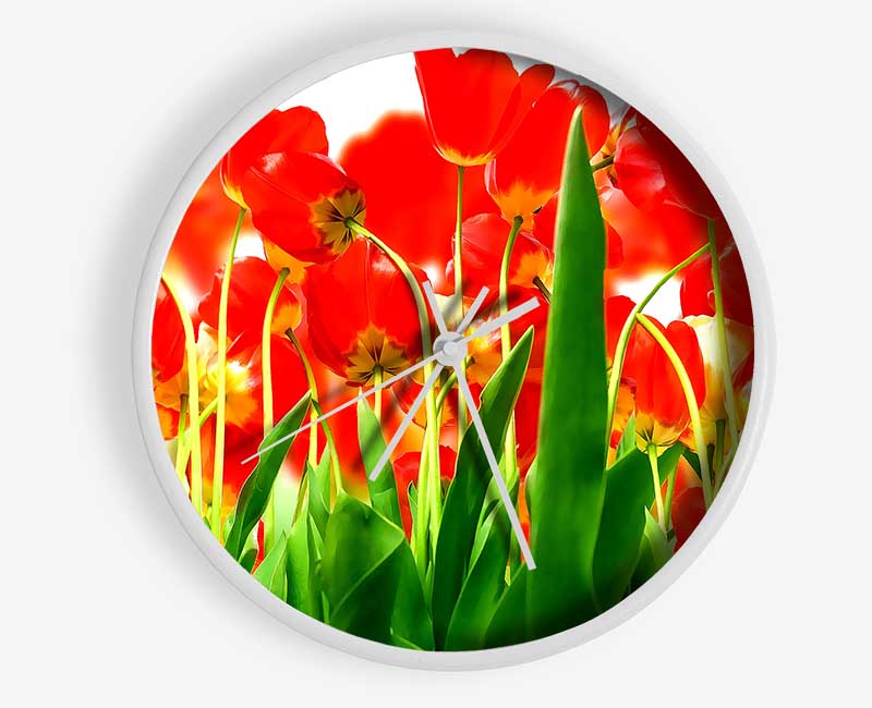 Red Tulips From Under Clock - Wallart-Direct UK