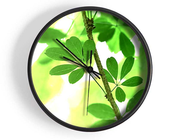 Spring Has Sprung Clock - Wallart-Direct UK