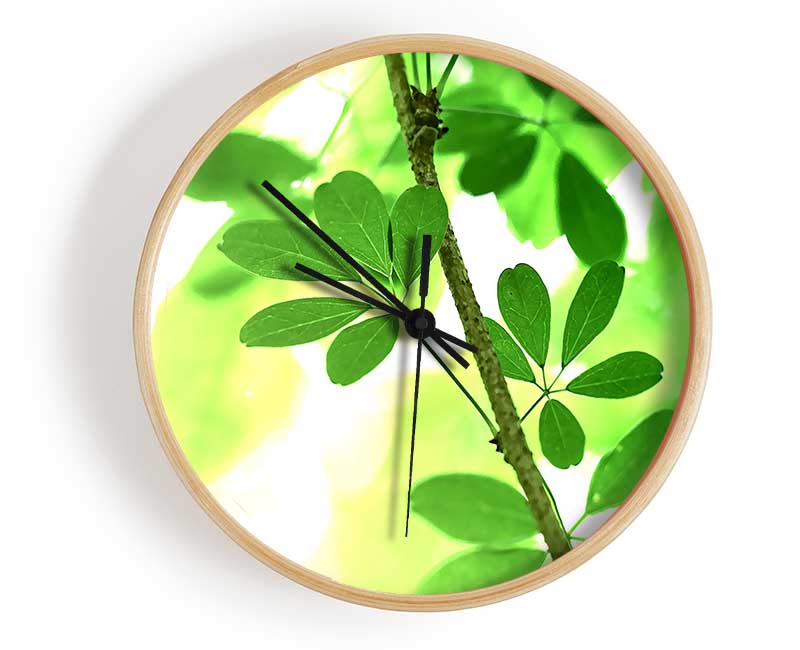 Spring Has Sprung Clock - Wallart-Direct UK