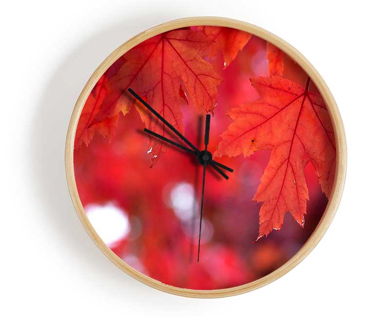 Red Autumn Clock - Wallart-Direct UK