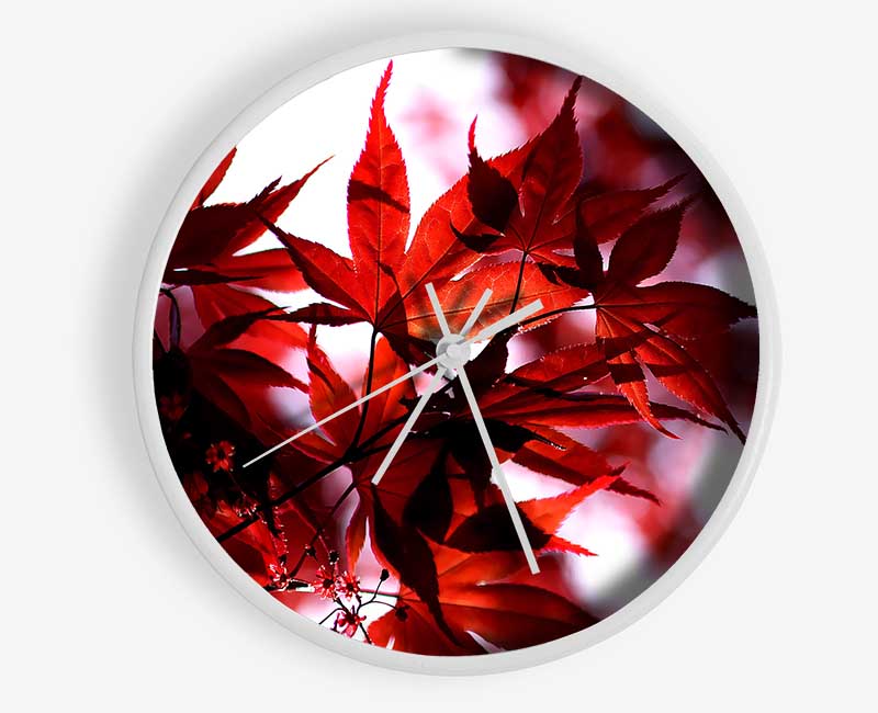 Spring Red Clock - Wallart-Direct UK