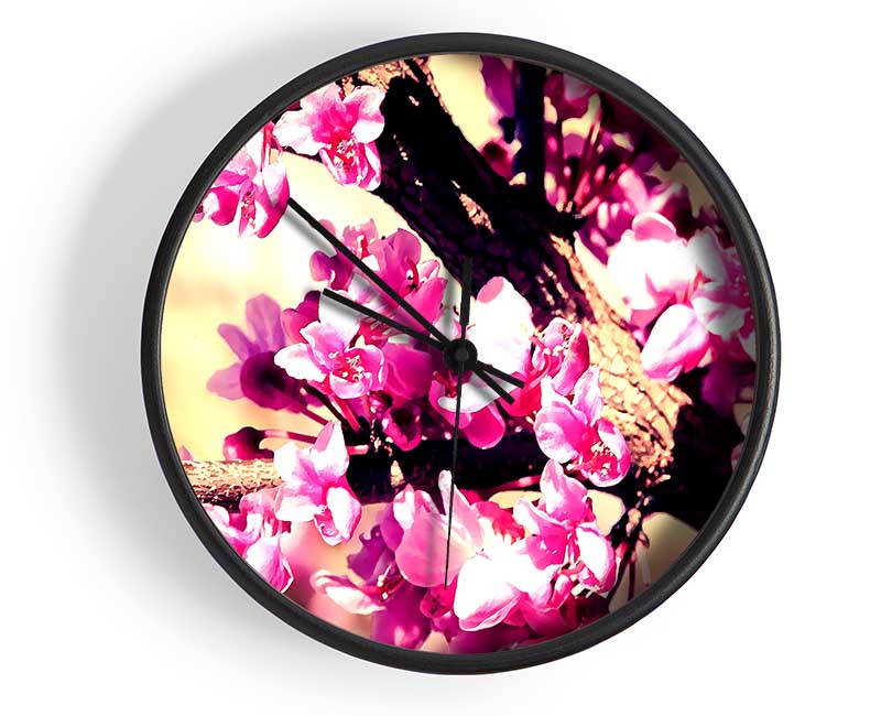 Pink Blossom Clock - Wallart-Direct UK