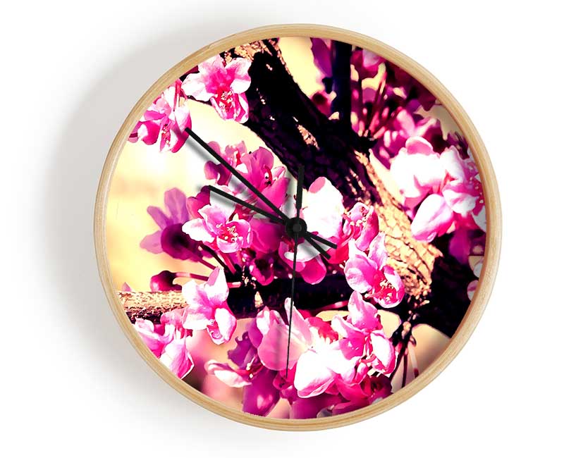 Pink Blossom Clock - Wallart-Direct UK