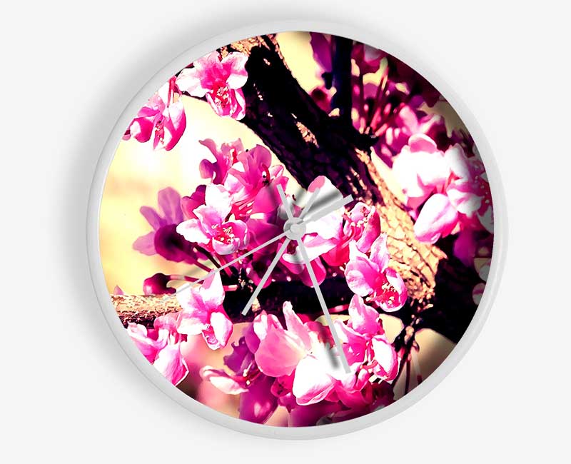 Pink Blossom Clock - Wallart-Direct UK