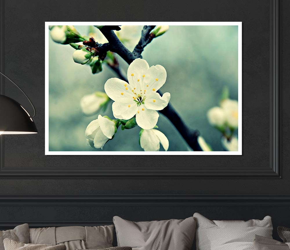 Beautiful Apple Blossom Print Poster Wall Art