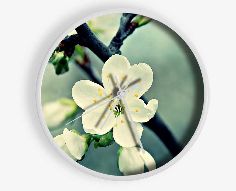 Beautiful Apple Blossom Clock - Wallart-Direct UK