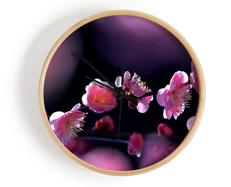 Pink Blossom Flowers Clock - Wallart-Direct UK