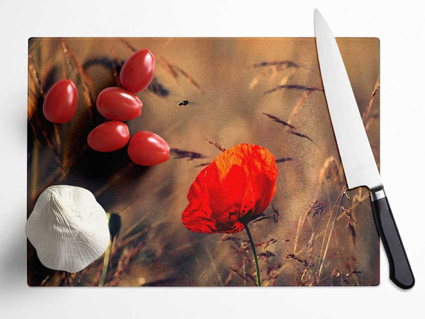 Red Poppy Field In Golden Light Glass Chopping Board