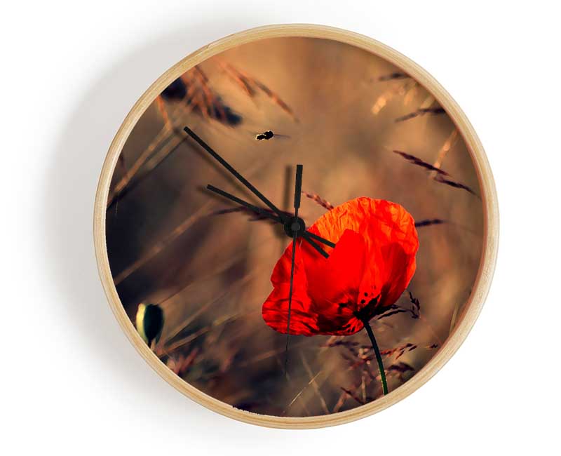 Red Poppy Field In Golden Light Clock - Wallart-Direct UK