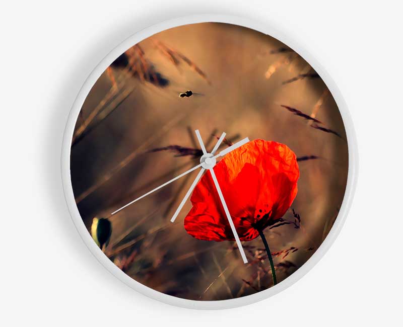 Red Poppy Field In Golden Light Clock - Wallart-Direct UK