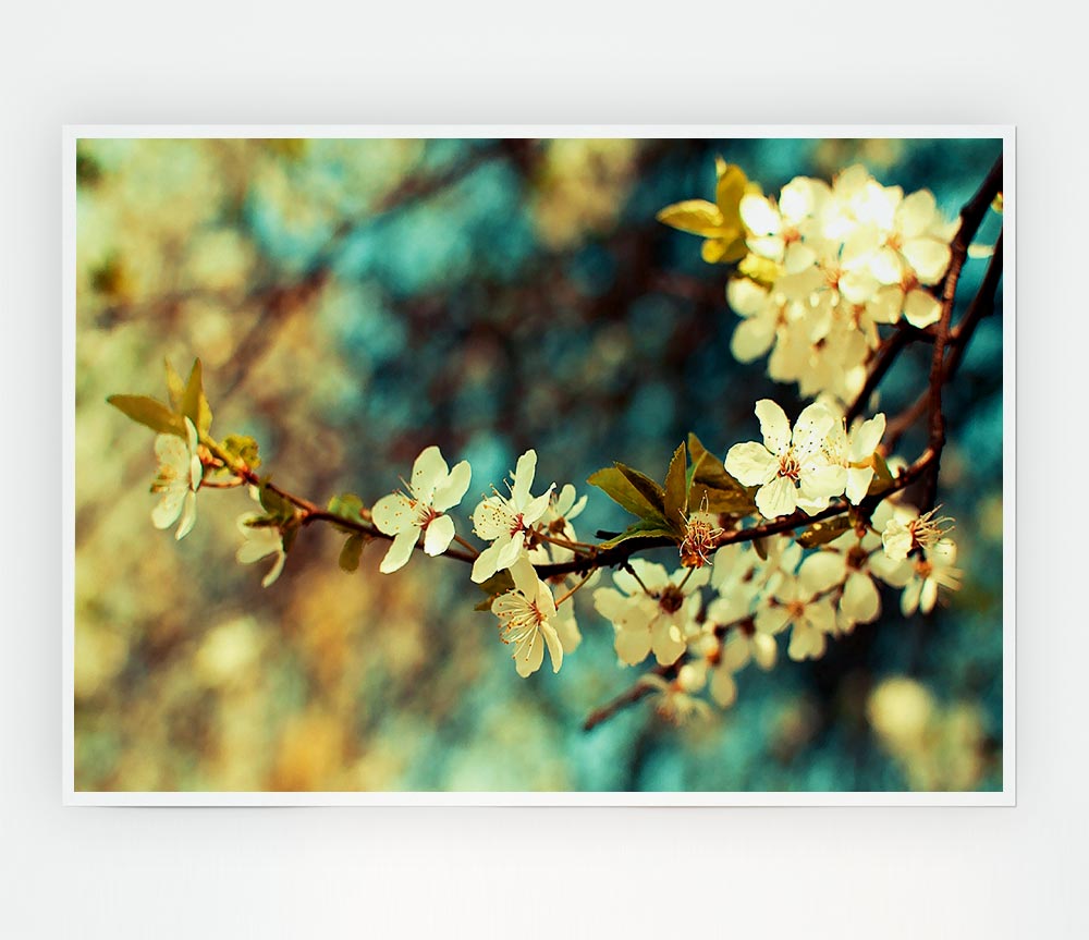 Beautiful Spring Day Print Poster Wall Art