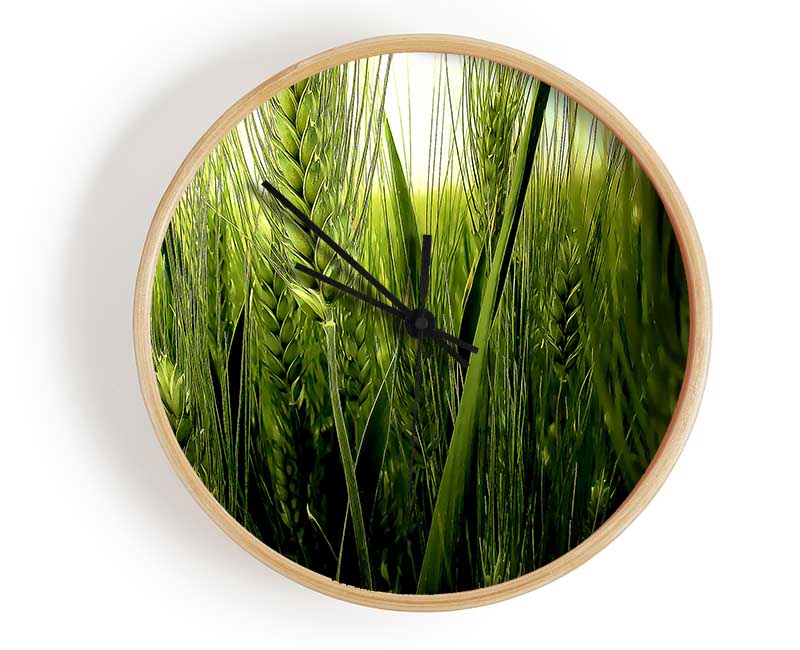 Life Below The Reeds Clock - Wallart-Direct UK