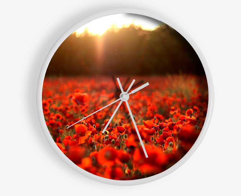 Poppies Meadow Clock - Wallart-Direct UK