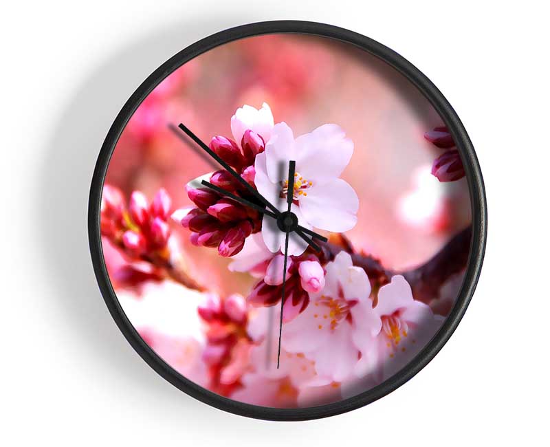 Cherry Blossom Buds Clock - Wallart-Direct UK