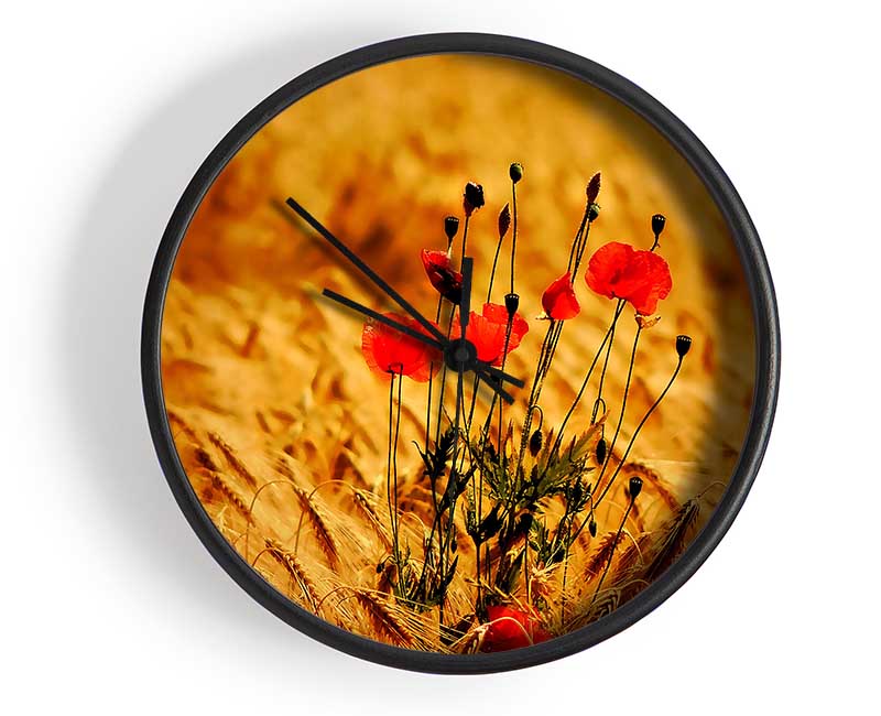 Poppies 3 Clock - Wallart-Direct UK