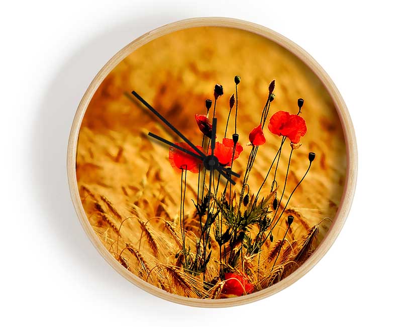 Poppies 3 Clock - Wallart-Direct UK