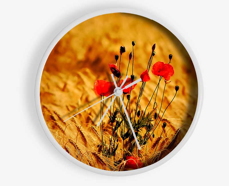 Poppies 3 Clock - Wallart-Direct UK