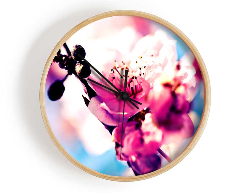 Beautiful Cherry Blossom Clock - Wallart-Direct UK