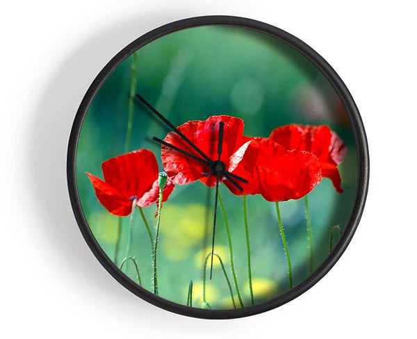 Summer Poppies Clock - Wallart-Direct UK