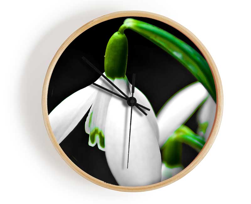 Snowdrop Flower Clock - Wallart-Direct UK