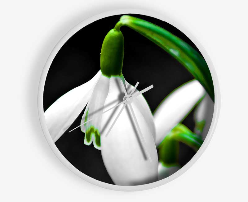 Snowdrop Flower Clock - Wallart-Direct UK