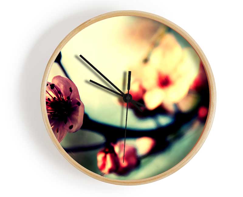 Cherry Blossom In Spring Clock - Wallart-Direct UK