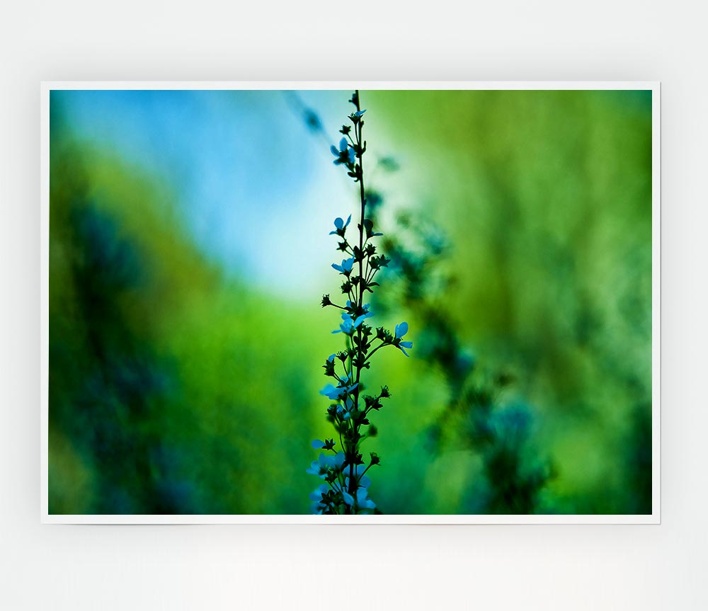 Blossom Blue Flower Print Poster Wall Art