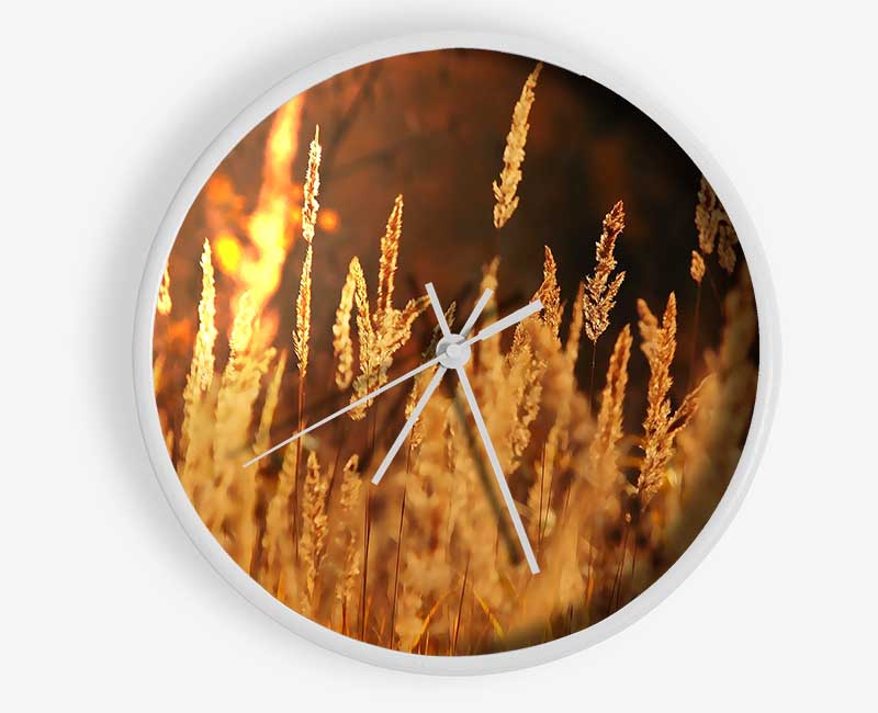 Golden Field Clock - Wallart-Direct UK