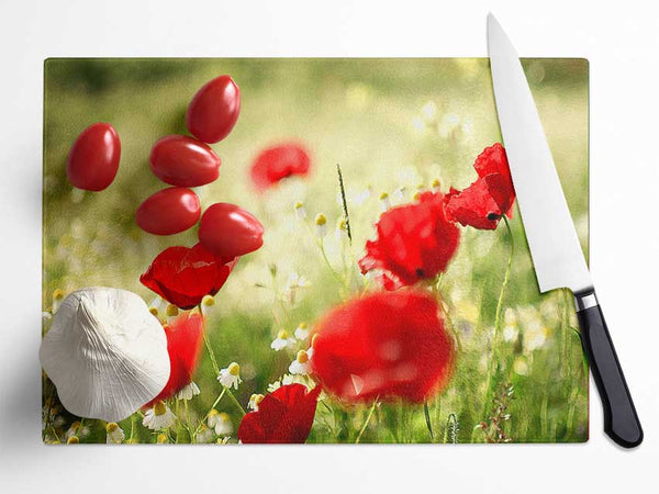 Poppies And Chamomile Glass Chopping Board