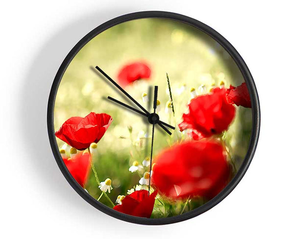 Poppies And Chamomile Clock - Wallart-Direct UK