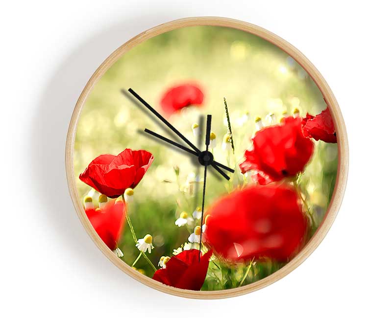 Poppies And Chamomile Clock - Wallart-Direct UK