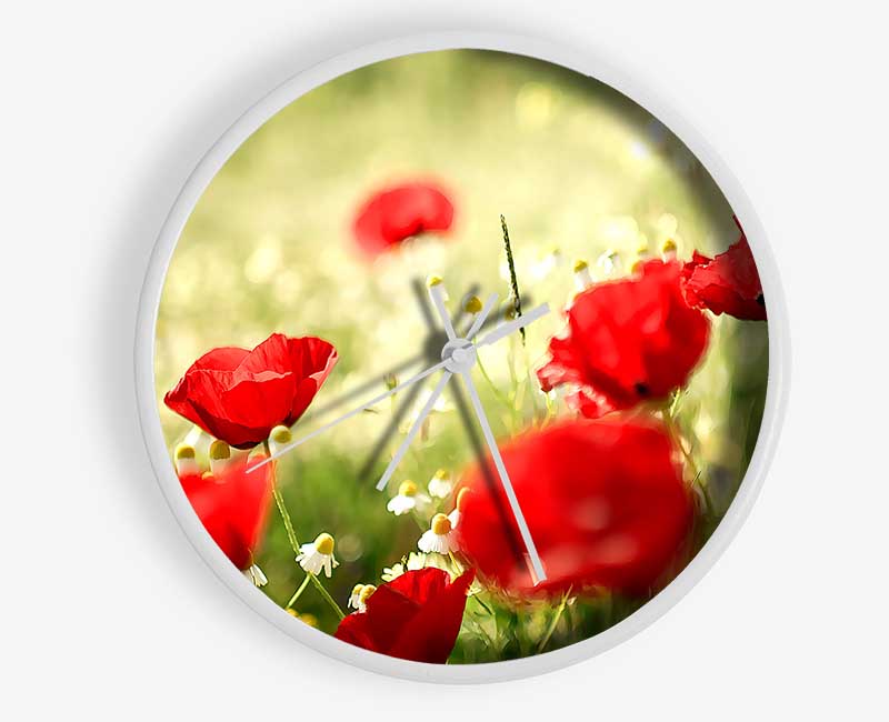 Poppies And Chamomile Clock - Wallart-Direct UK