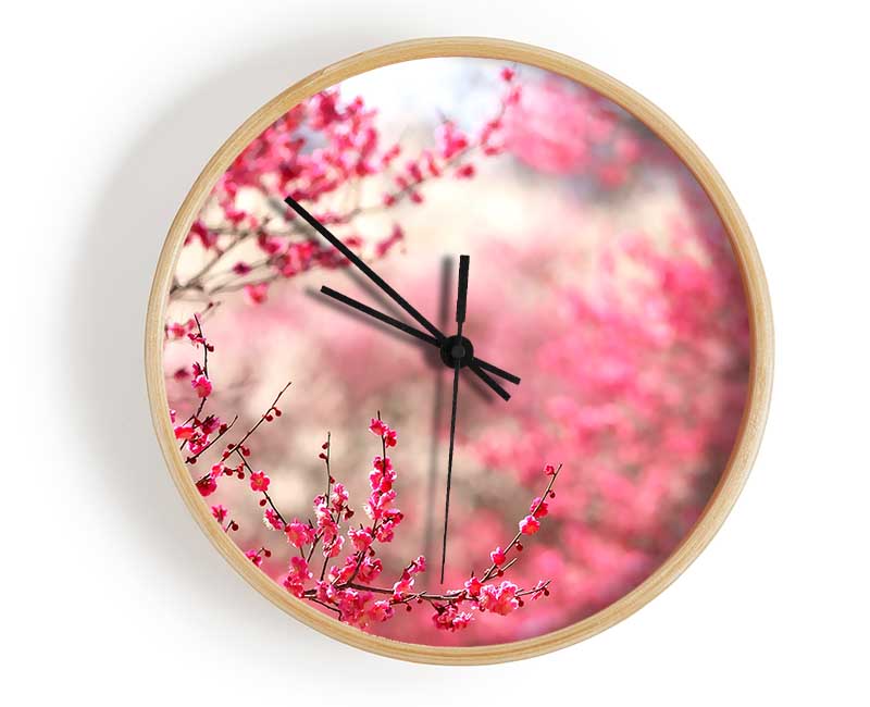 Spring Signs Clock - Wallart-Direct UK