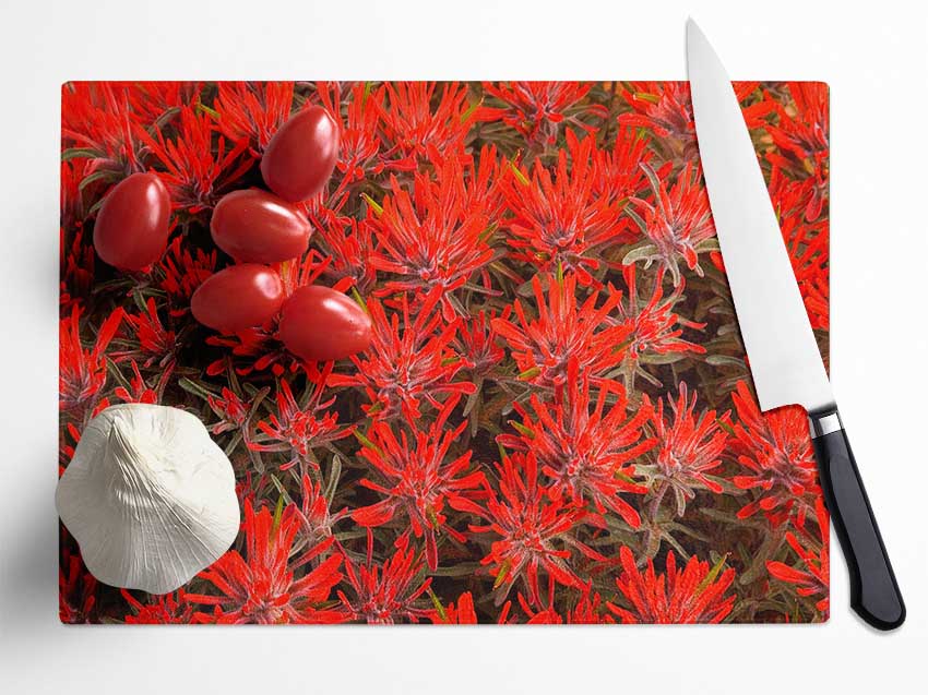 Red Paintbrush Utah Glass Chopping Board