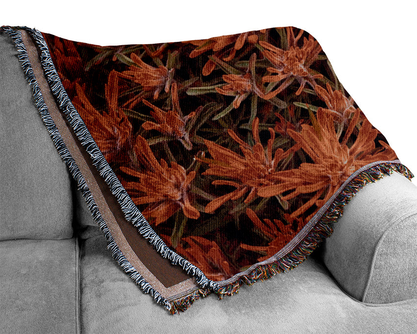 Red Paintbrush Utah Woven Blanket