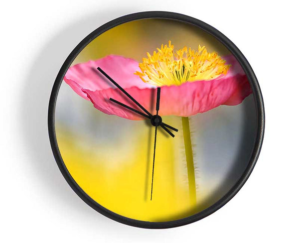 Single Pink Poppy In The Garden Clock - Wallart-Direct UK