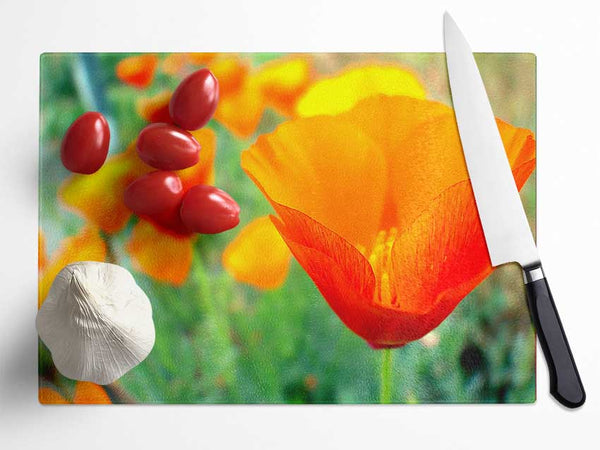 California Poppies Orange Glass Chopping Board