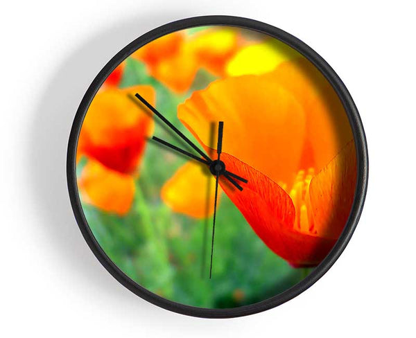 California Poppies Orange Clock - Wallart-Direct UK