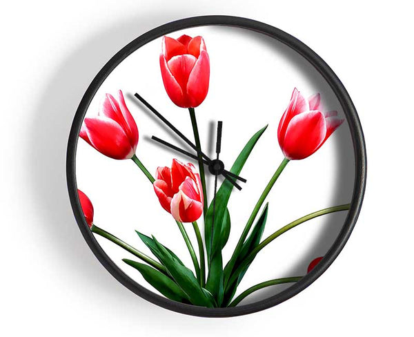 Red Pink Tulips Clock - Wallart-Direct UK